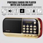 Reponic FM Digital Audio Player